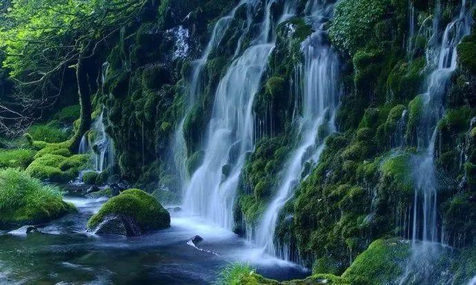 机械迷城